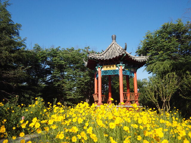 菏泽校区大门